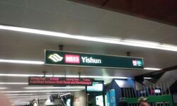 Yishun Ring Road (Yishun), HDB HUDC #339127201